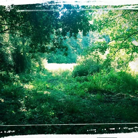 Sabine's Wellnesslodge Lodge