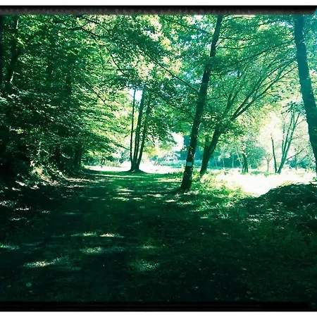 Sabine's Wellnesslodge Lodge