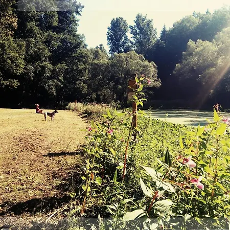 Sabine's Wellnesslodge Chata