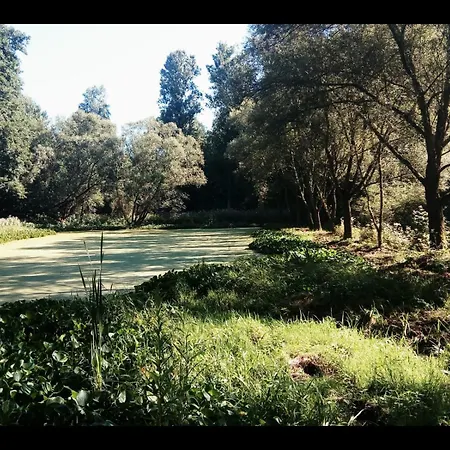 Lodge Sabine's Wellnesslodge