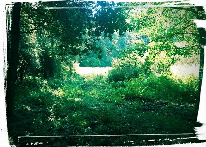 Sabine's Wellnesslodge אכסניה