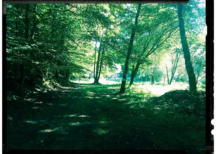 Sabine's Wellnesslodge אכסניה