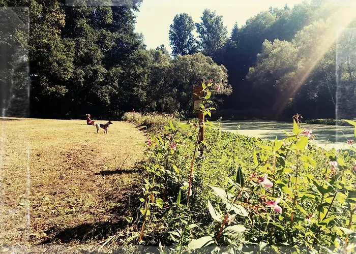 Sabine's Wellnesslodge Lodge