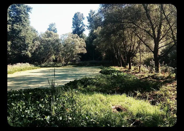 אכסניה Sabine's Wellnesslodge